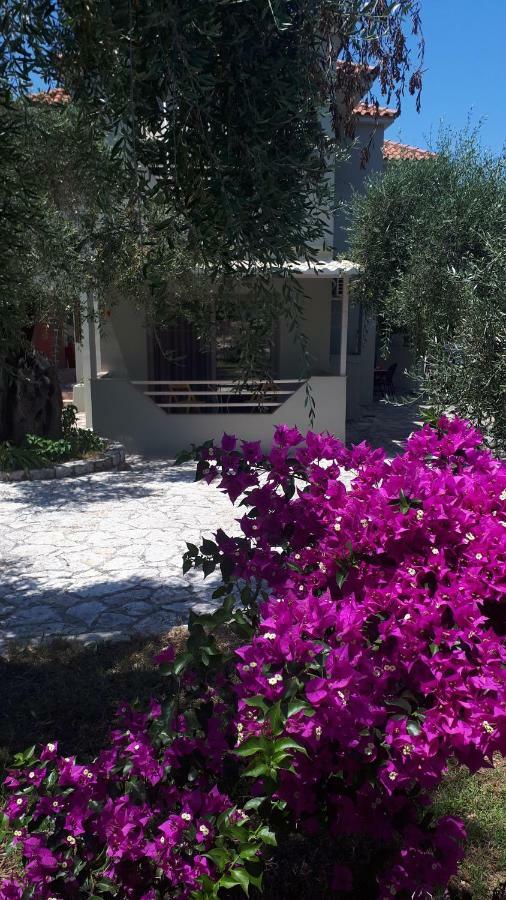 Sivota Apartments Parthenia מראה חיצוני תמונה